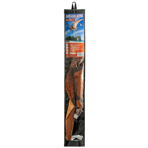 PTERODACYL JURASSIC